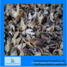 fresh frozen moon snail meat with best price